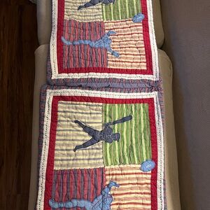 Two Pottery Barn Pillow Shams